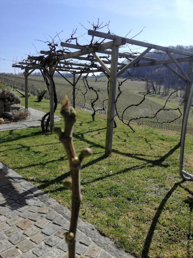 Das Weinberghaus Ratsch an der Weinstraße Exterior foto