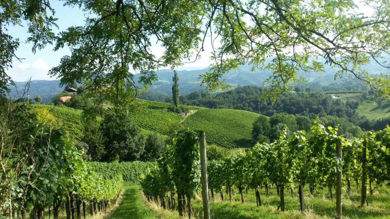 Das Weinberghaus Ratsch an der Weinstraße Exterior foto