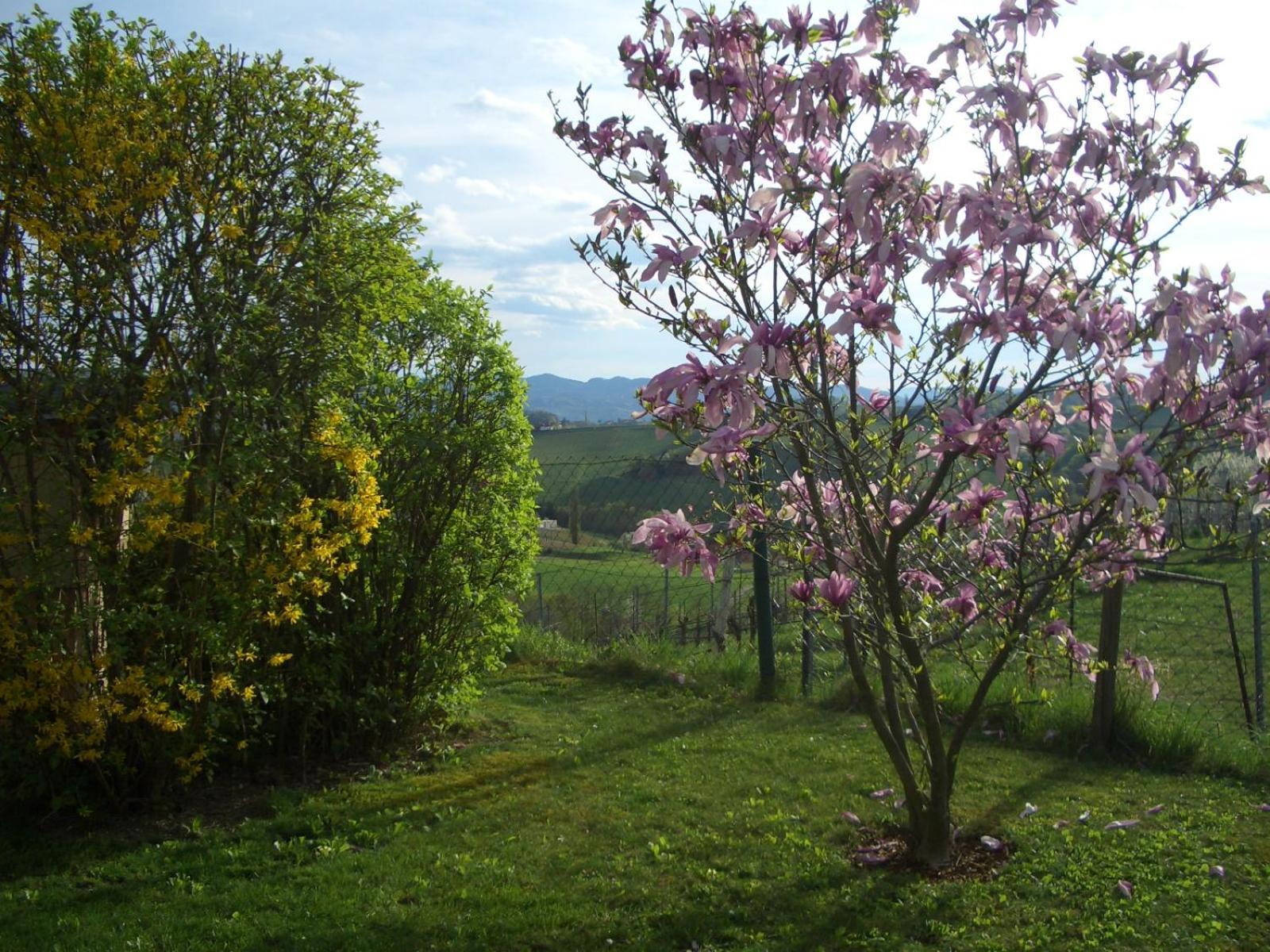 Das Weinberghaus Ratsch an der Weinstraße Exterior foto