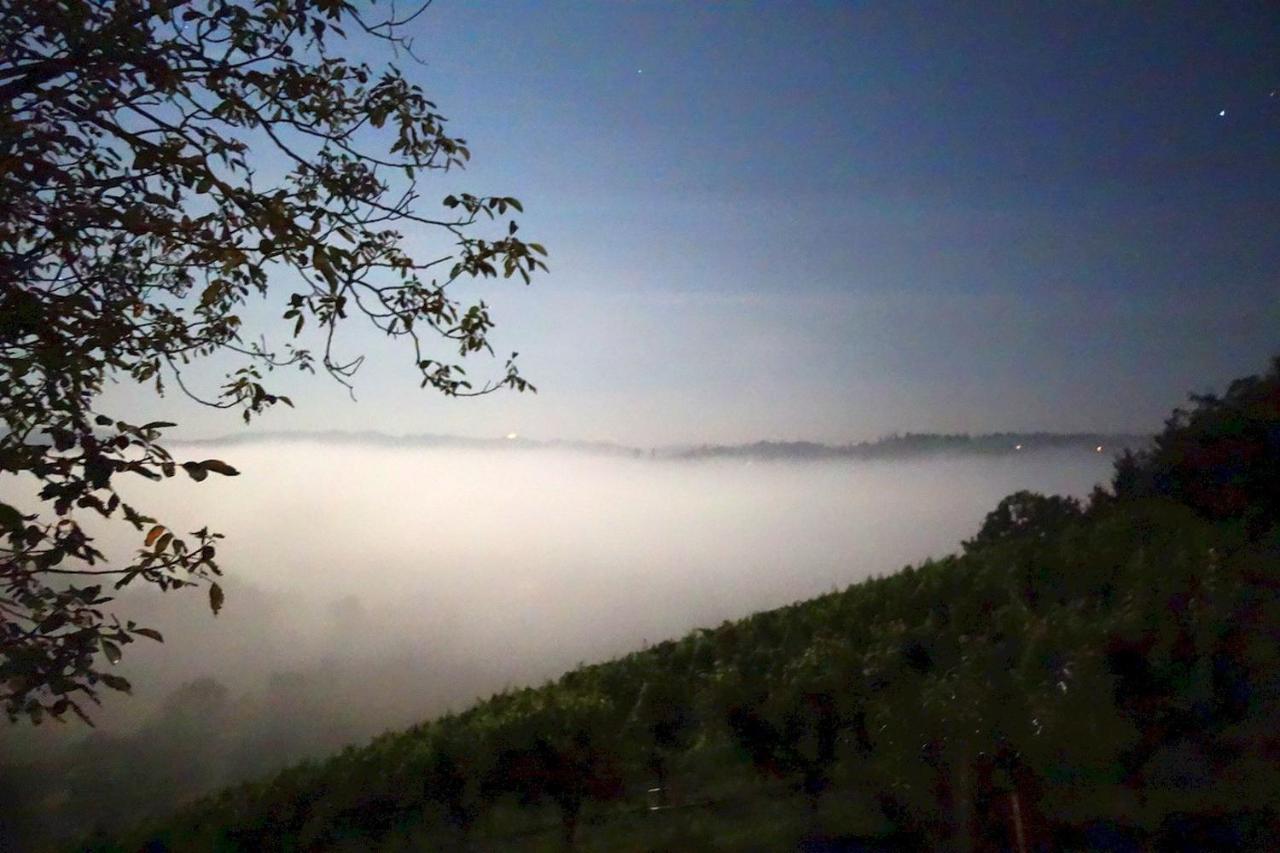 Das Weinberghaus Ratsch an der Weinstraße Exterior foto